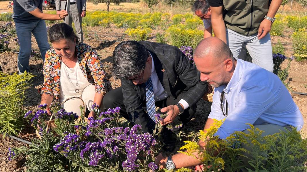 Toprağının verimi ve tarım ürünleriyle ünlü Çanakkale'ye bu kez bitki ekildi 1